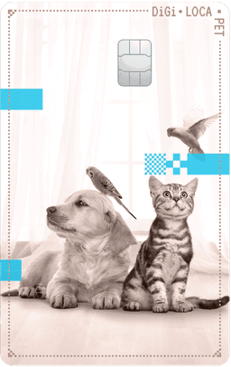 디지로카 Pet
